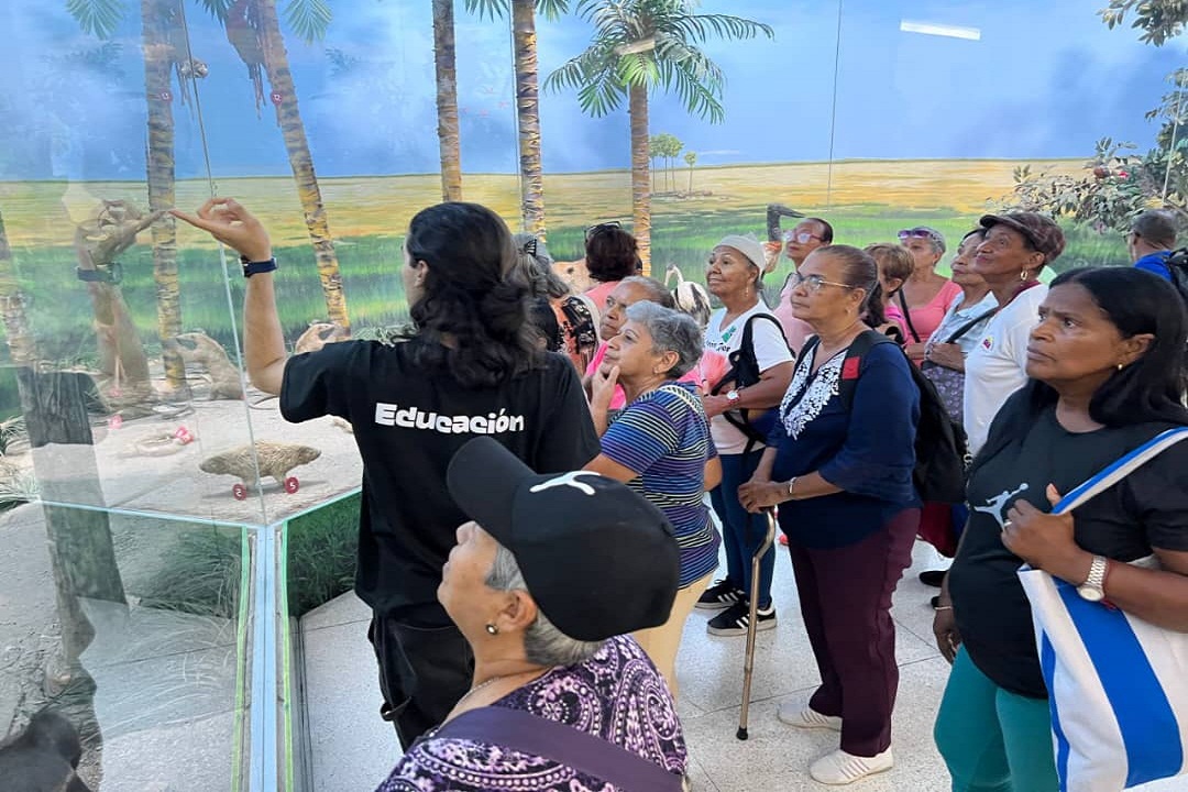 Turismo social en Venezuela crece más de 500% en ocho meses